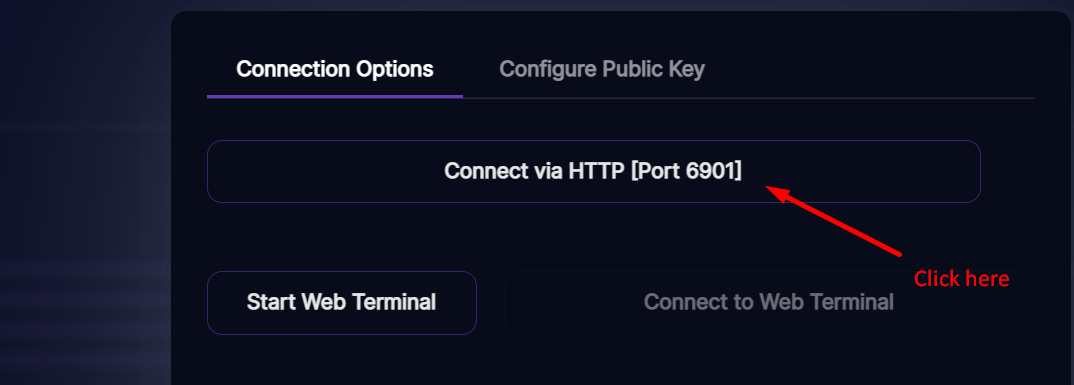 connect VNC in How to Run a GPU-Accelerated Virtual Desktop on Runpod