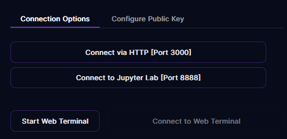 First option is to connect to automatic UI though we going to Jupyter button first