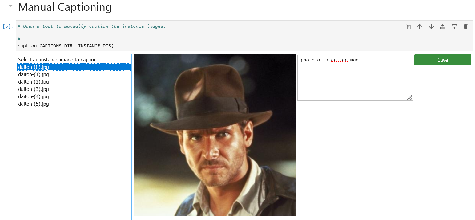 Manual captioning tool showing a training image of a man in a fedora captioned 'photo of a daiton man'