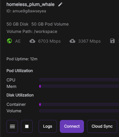 Runpod pod details panel showing disk size, utilization bars, and a Connect button