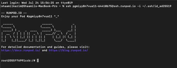 Terminal Runpod SSH in Run Llama 3.1 405B with Ollama on Runpod