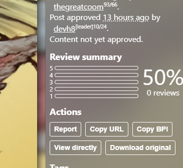 Booru.plus post sidebar showing a review summary and Download original button