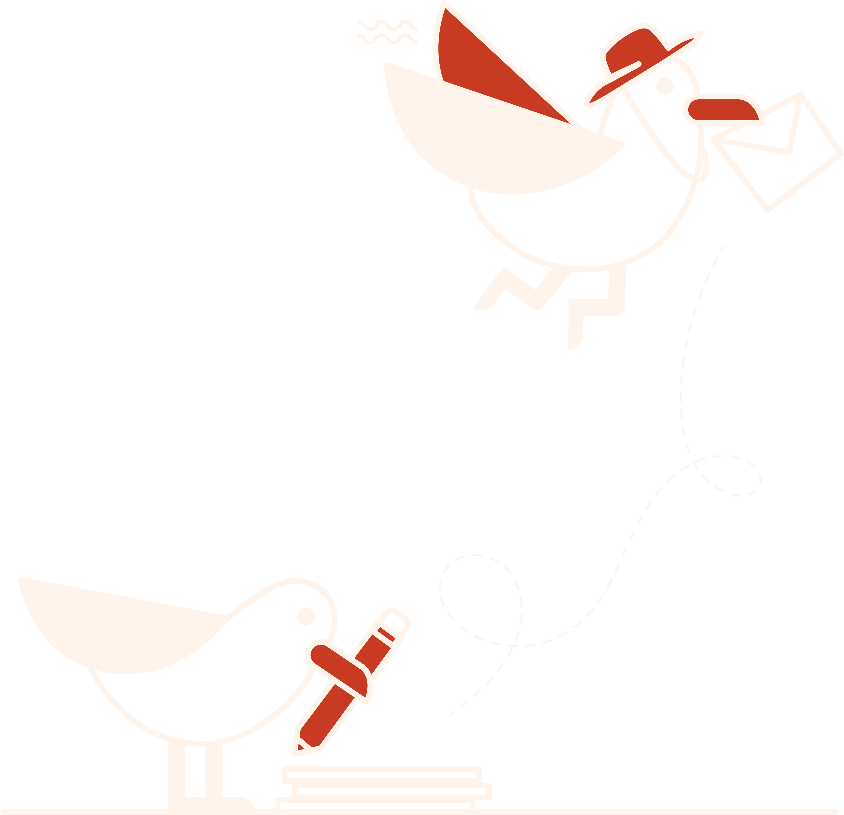 Contact Us - Pigeons