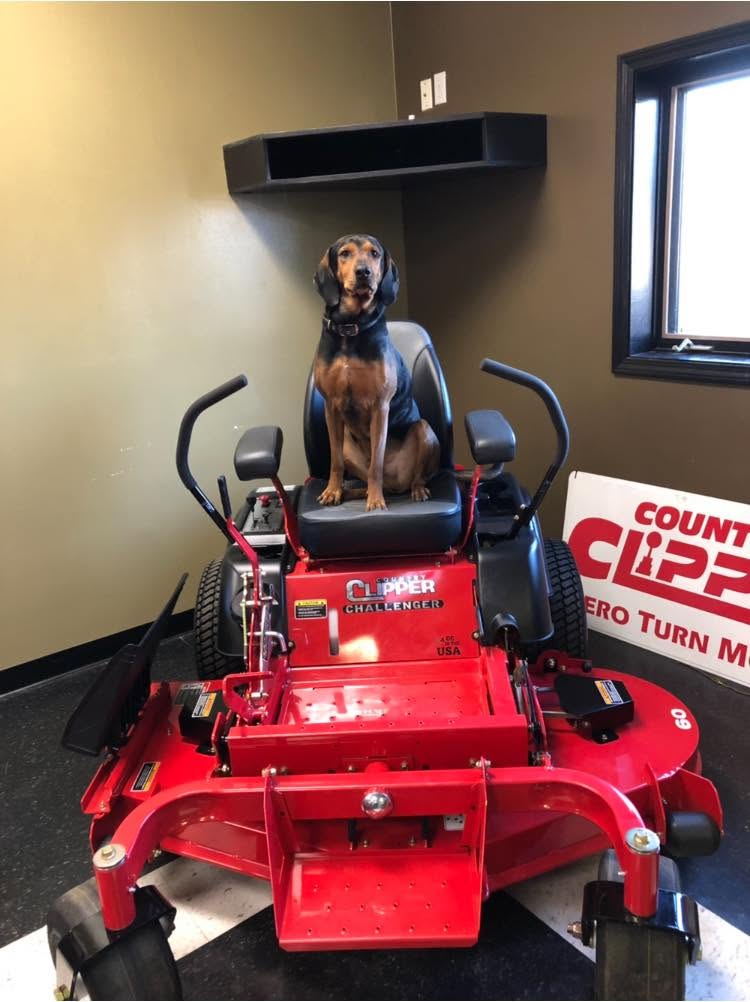 A black and brown dog sitting on the seat of a red Country Clipper mower inside a room with brown walls and a window.
