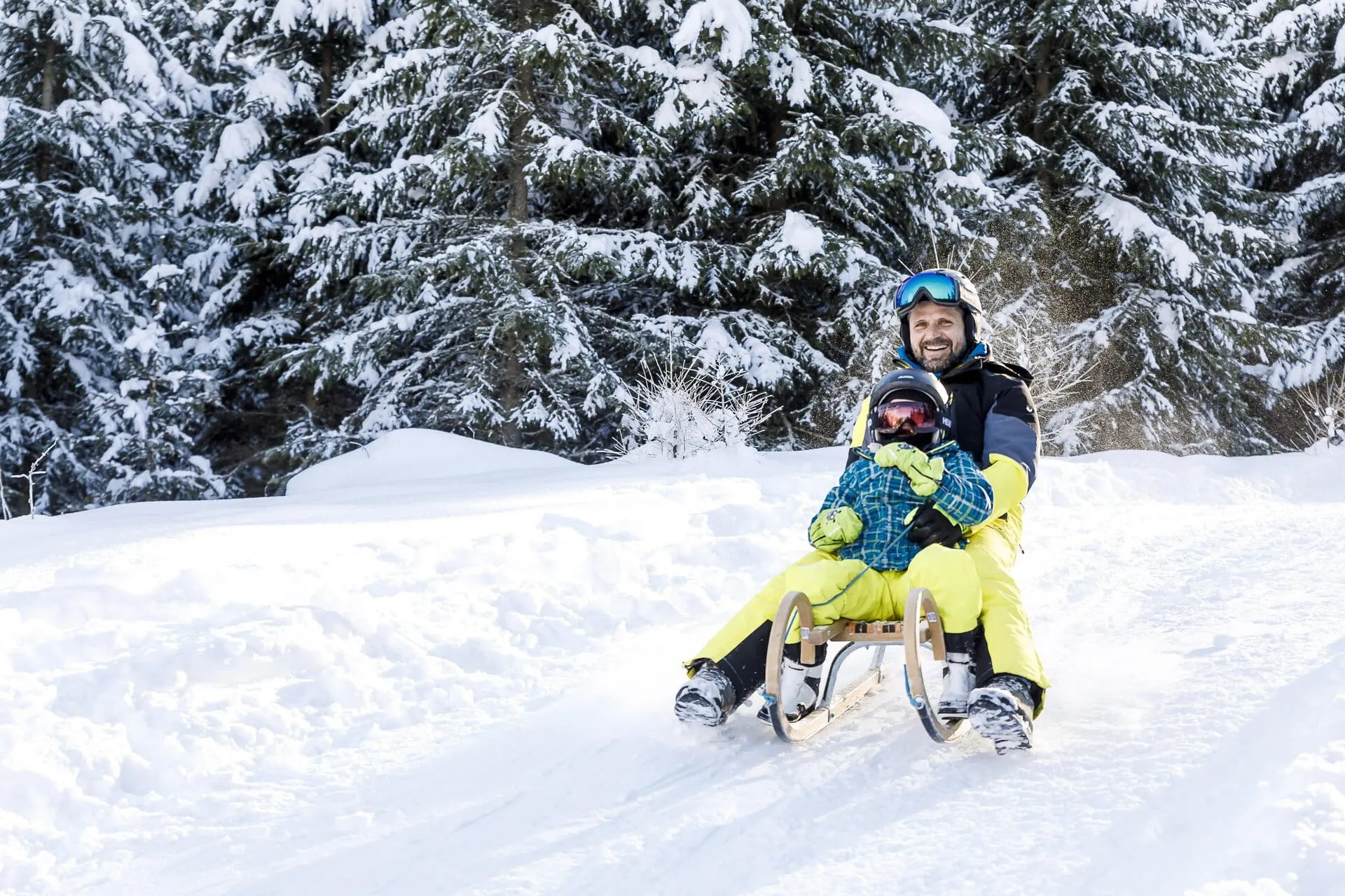 Vater und Kind rodeln zusammen auf einer verschneiten Bahn vor schneebedeckten Tannen.