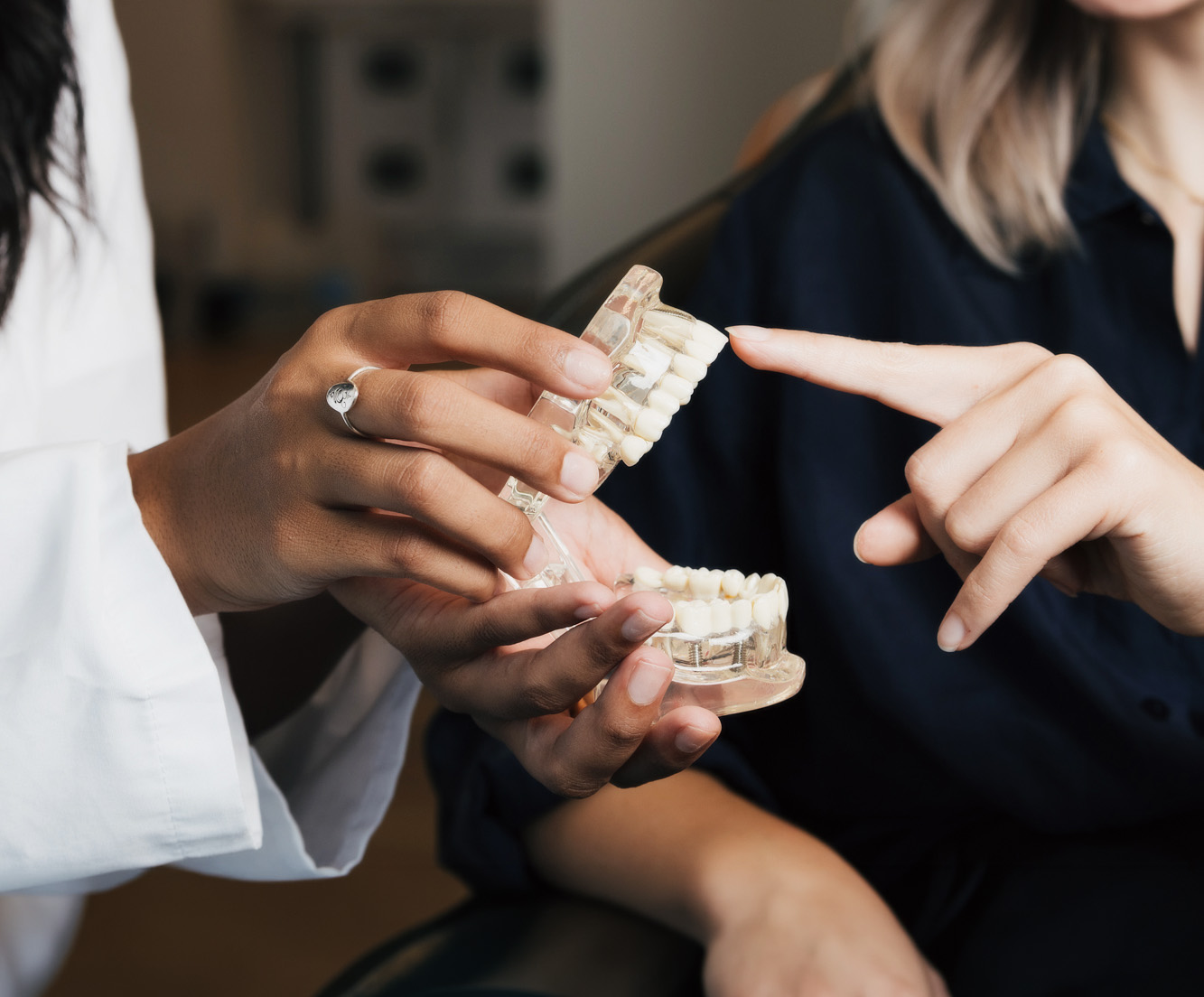 Two people holding and pointing at a clear dental model showing teeth.