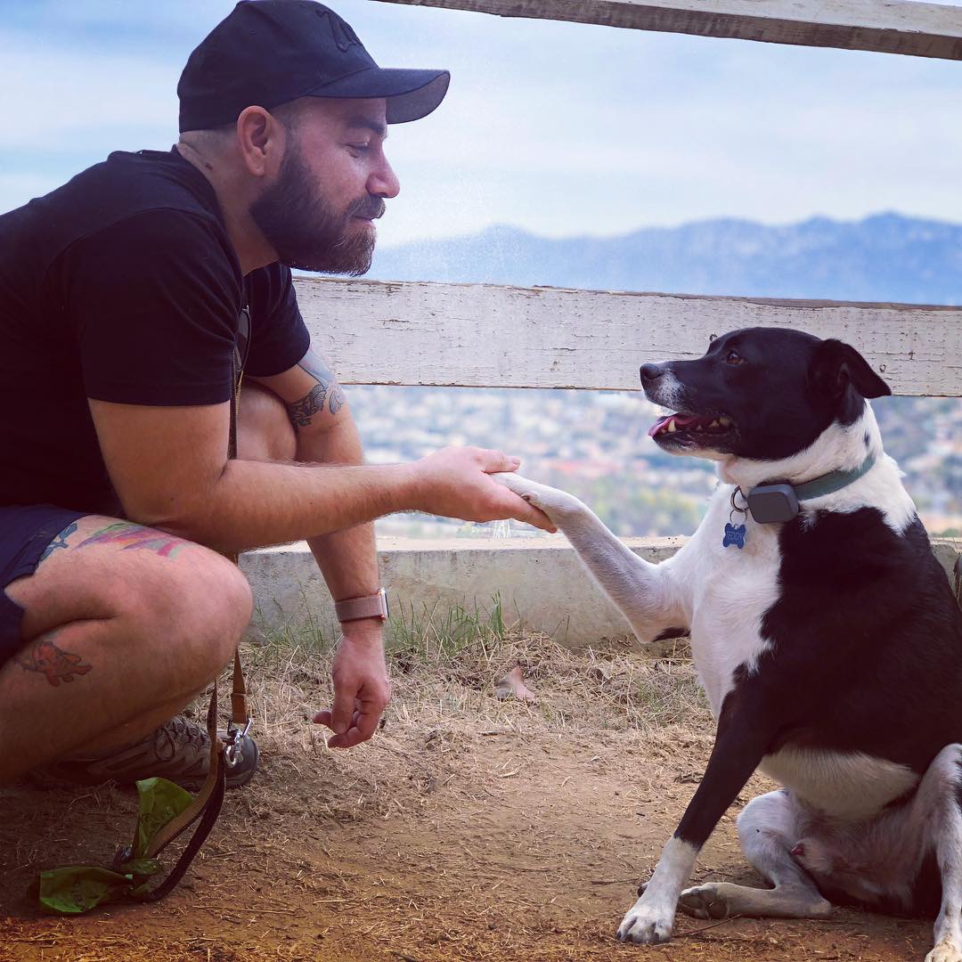 image of past food truck event