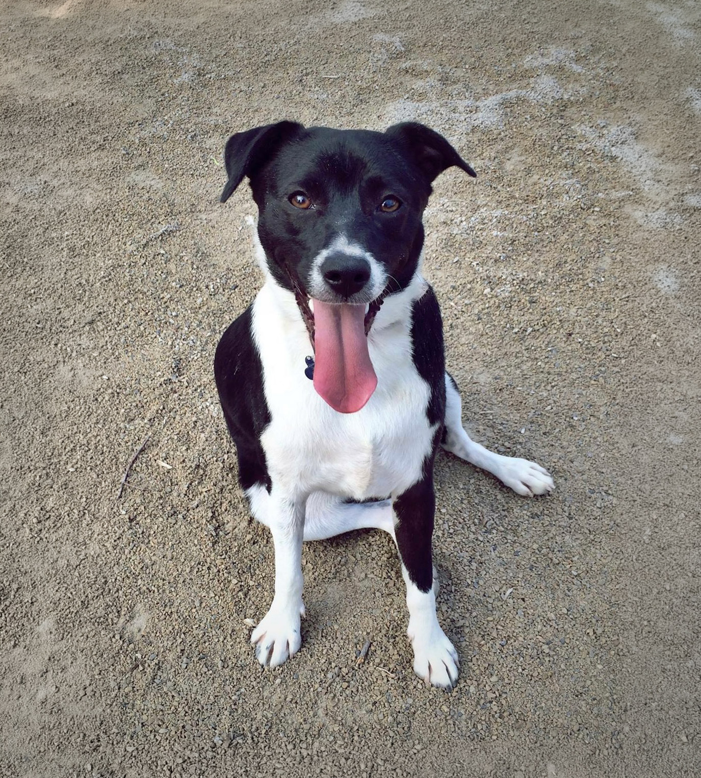 image of location (for an animal welfare nonprofit)