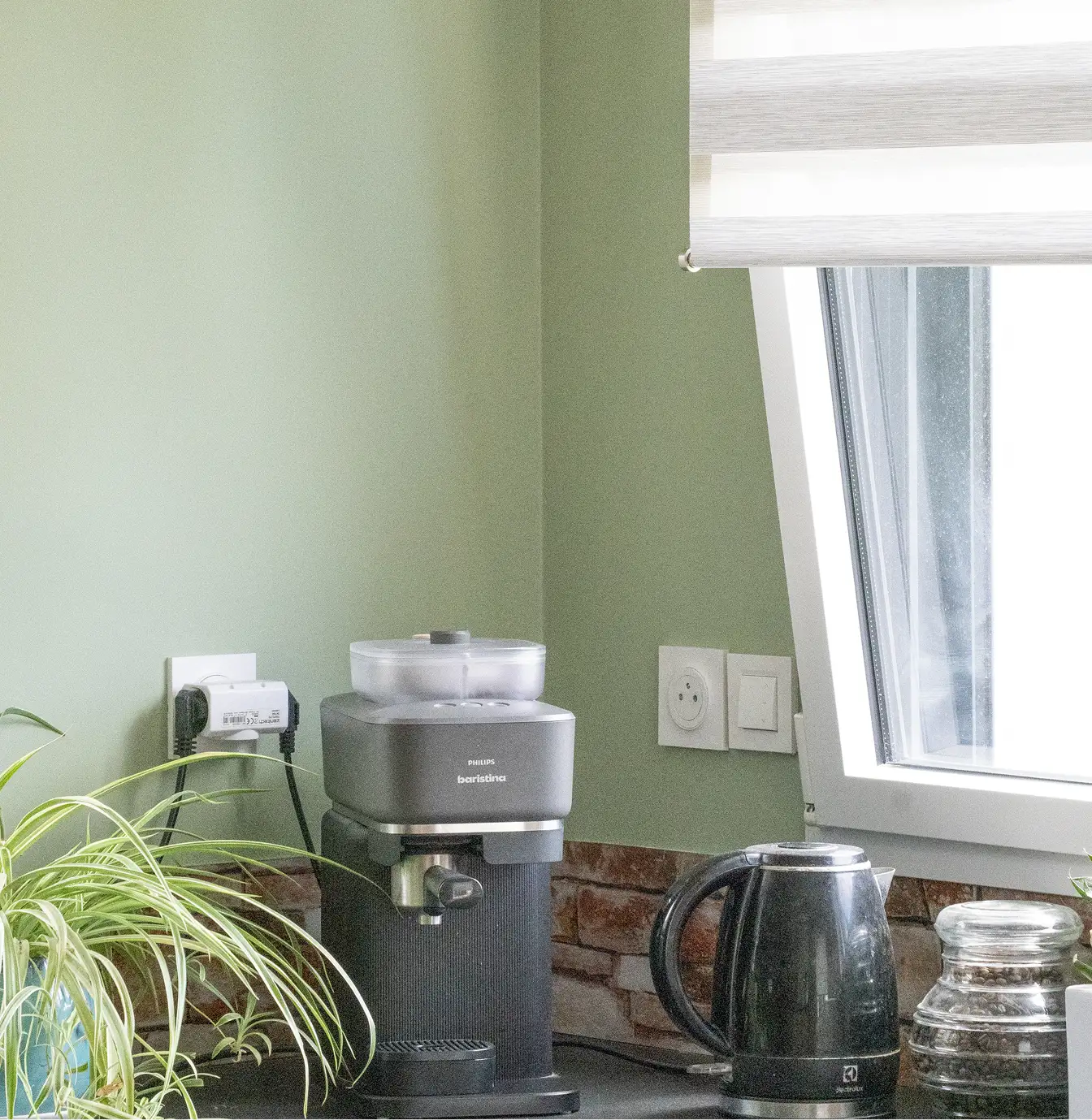 Détail du mur vert sauge peint dans la cuisine