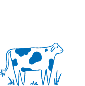 Best Beef