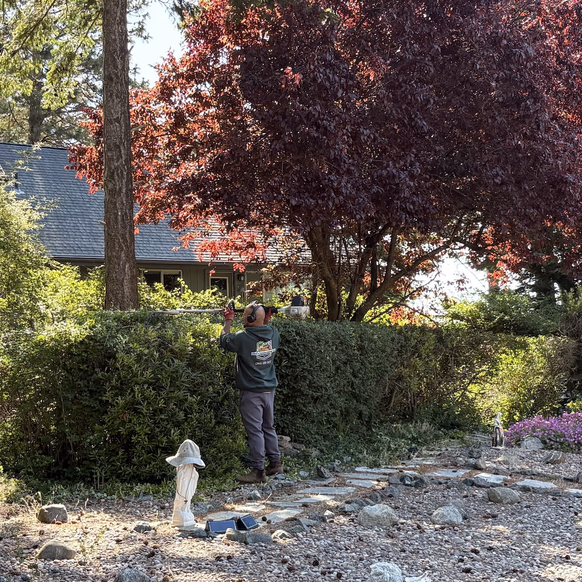 Professional landscaping in Oak Harbor, Washington by Ebai’s Landscaping delivering clean, well-designed outdoor spaces with high-quality results