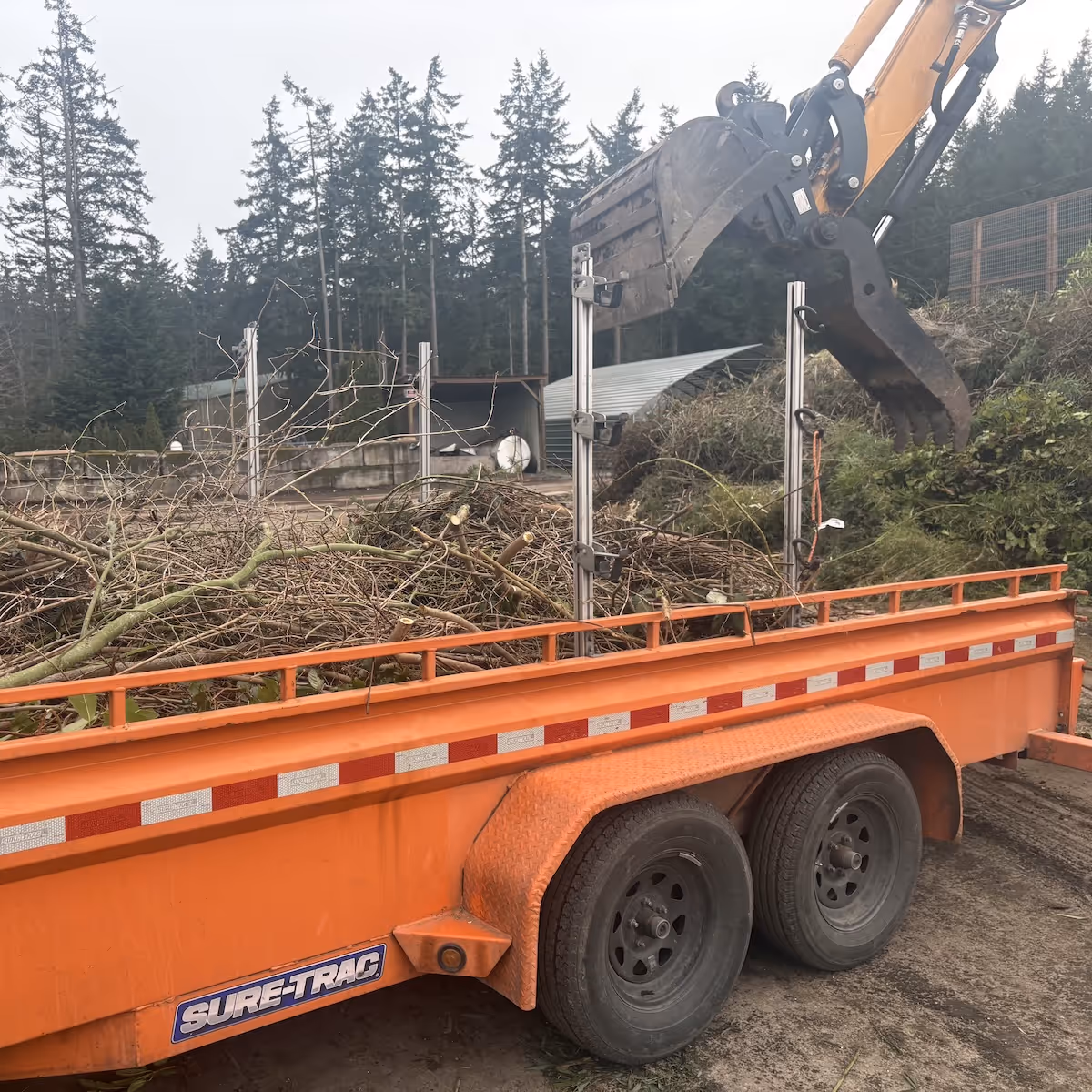 Yard debris removal and leaf cleanup near me by Ebai’s Landscaping