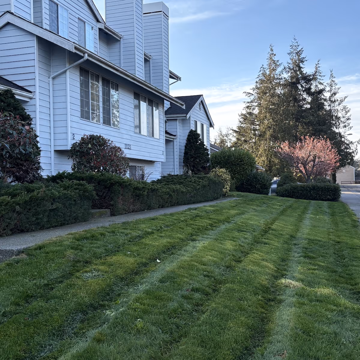 Residential lawn maintenance services near me in Oak Harbor, Washington