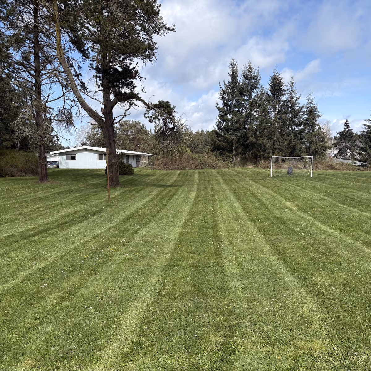 Professional lawn care near me with clean edging and trimming
