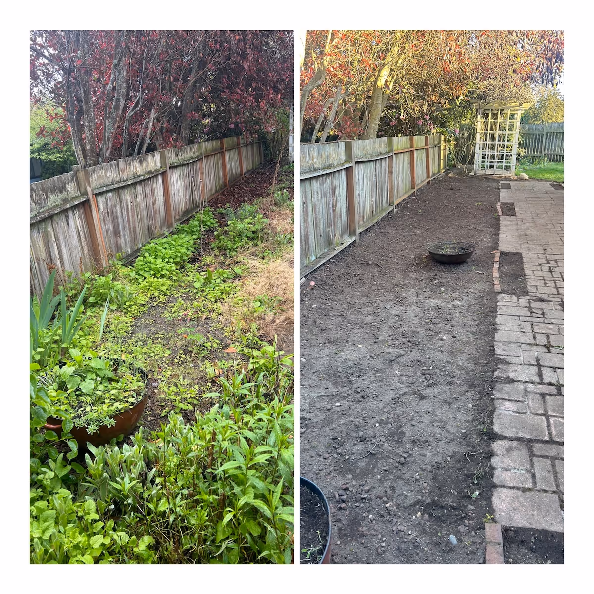 Property cleanup services in Oak Harbor, Washington yard cleanup before and after