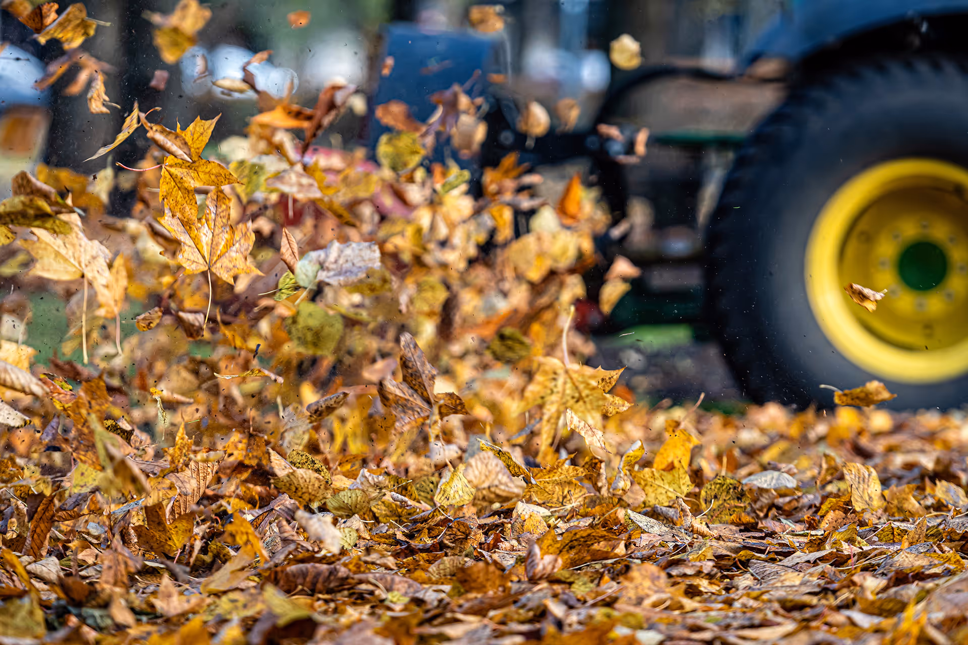 Leaf cleanup service in Oak Harbor, Washington by Ebai’s Landscaping removing seasonal debris for a clean, well-maintained property