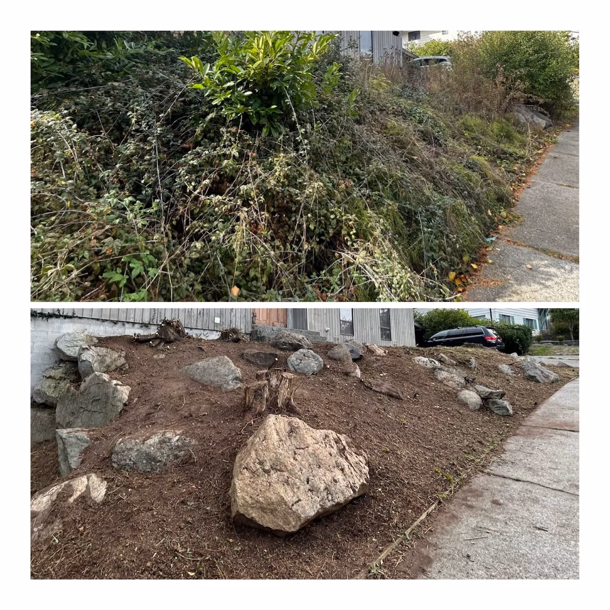 Yard debris removal and leaf cleanup near me by Ebai’s Landscaping