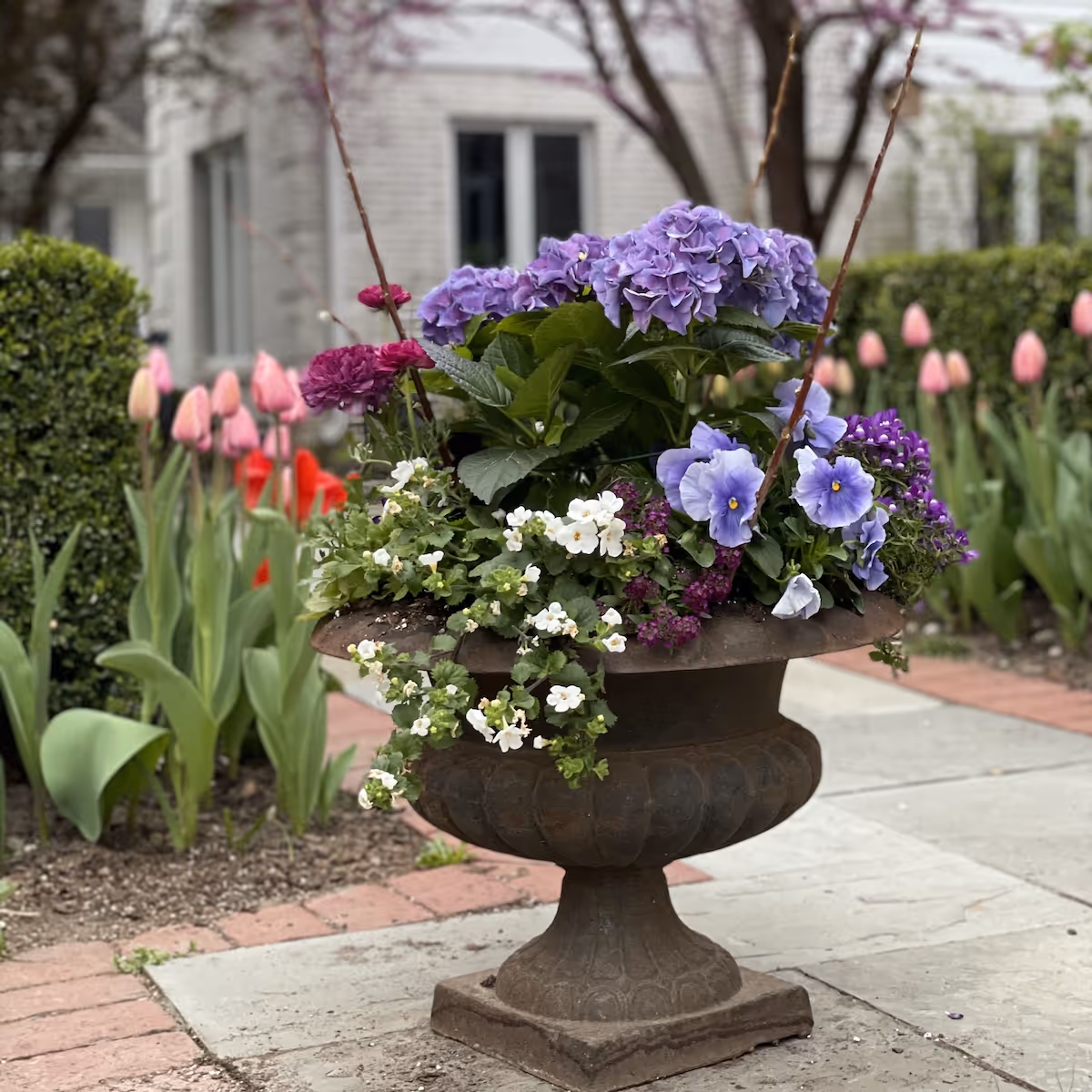rotating annual flower plantings near me Hinsdale Illinois