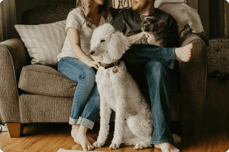 Happy home owners