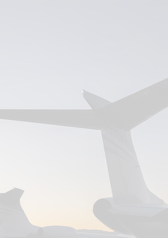 Silhouette of aircraft tail fins against a sunset sky.