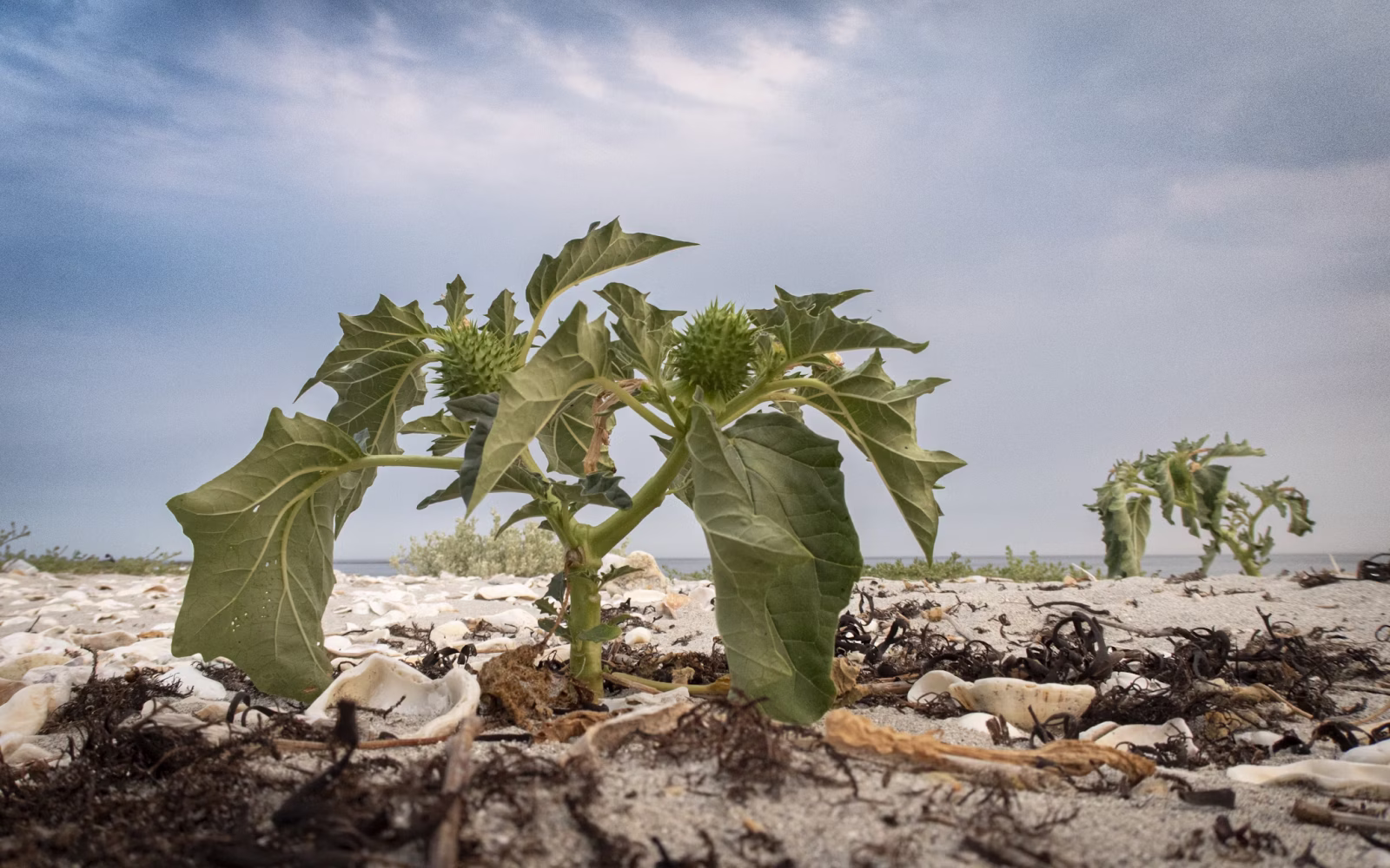 Redefining productivity, collaboration, and the new era of intelligence.