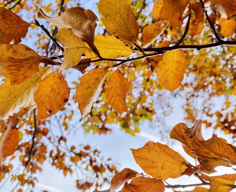 Empowering teams, automation, and intelligence for a smarter future.