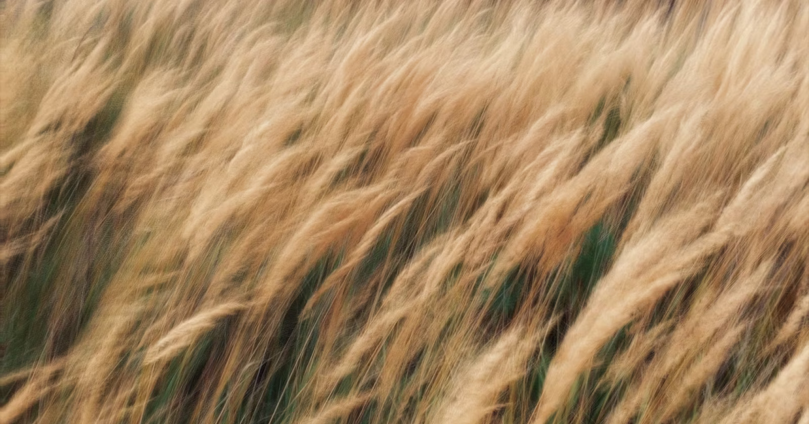 Empowering teams, automation, and intelligence for a smarter future.