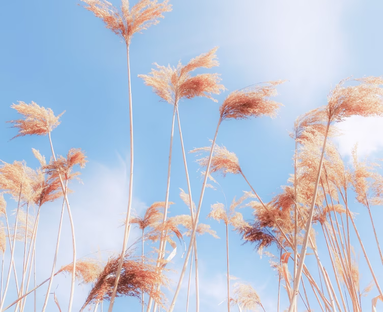 Exploring automation, intelligence, and the future of work ahead