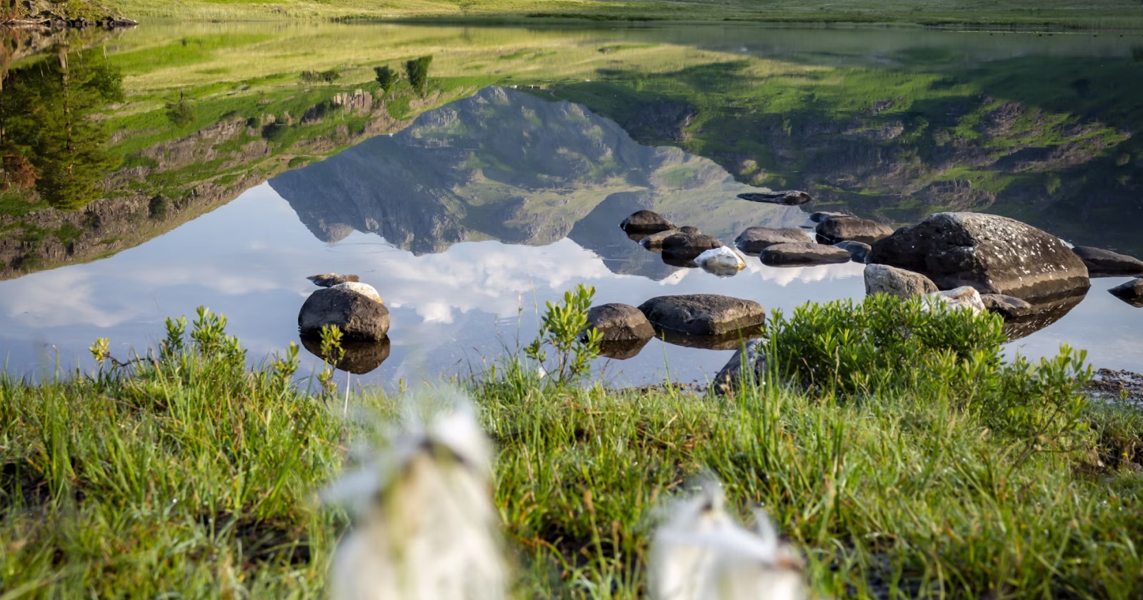 Blending automation, creativity, and human potential for smarter growth.