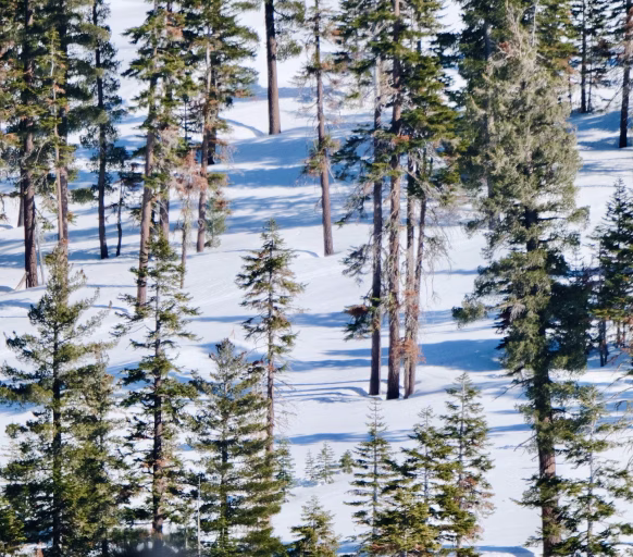 Empowering businesses, transforming efficiency, and shaping tomorrow.