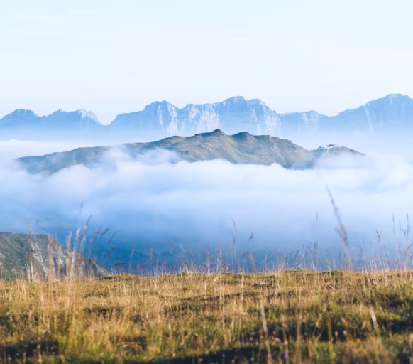 Unveiling innovation, collaboration, and the evolving world of productivit