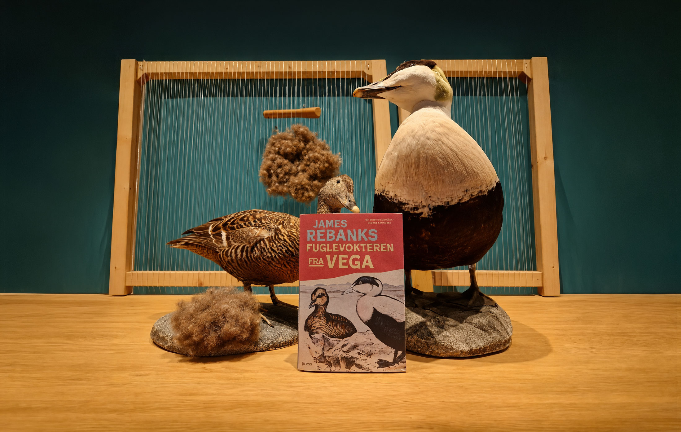 Forsiden av boken “Fuglevokteren fra Vega” av James Rebanks, med utstoppede ærfugler og tradisjonelle redskaper i bakgrunnen.