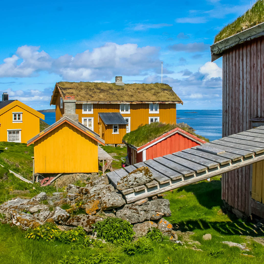 Nordlandshus med torvtak ligger tett sammen ved havet. I forgrunnen ses en låvebro opp til en låve.