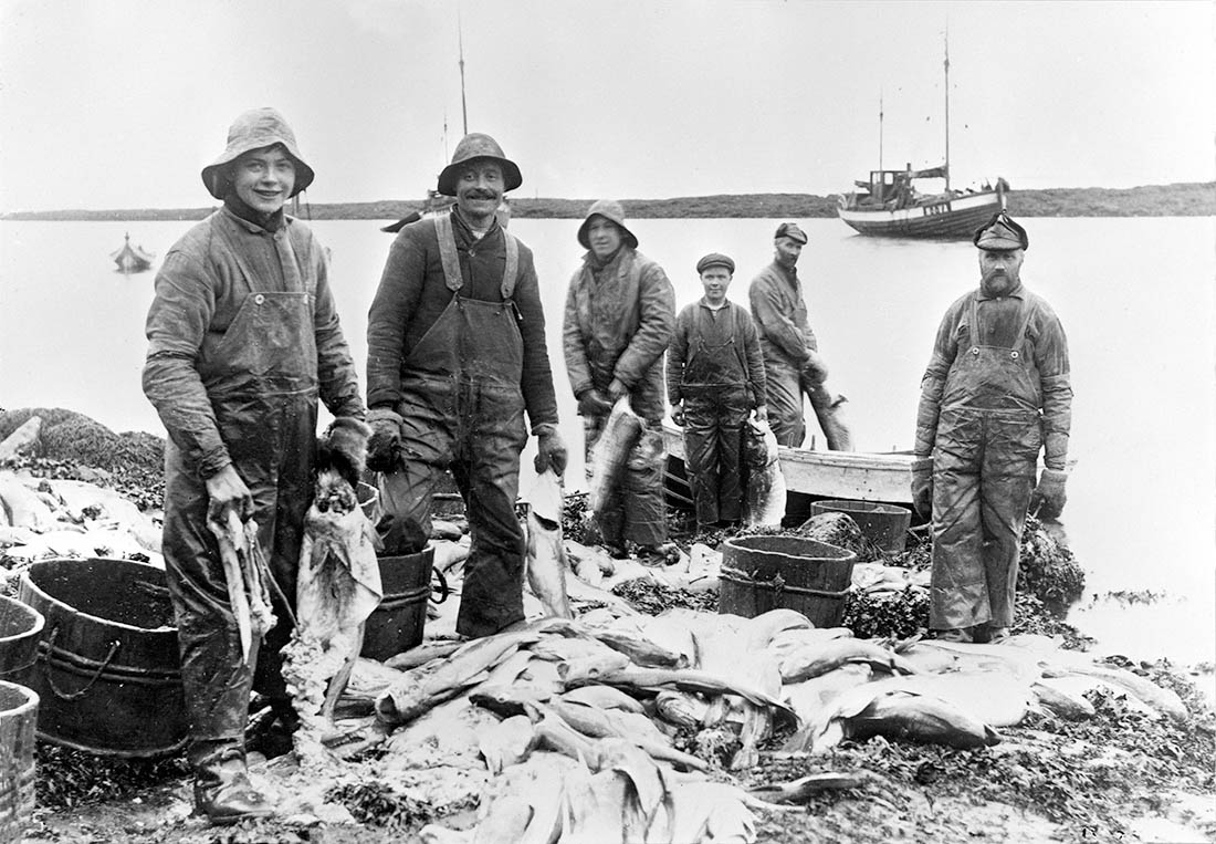 Svarthvitt bilde av flere fiskere som sløyer fisk i fjæra i Skjærværet. I bakgrunnen ses flere fiskebåter.