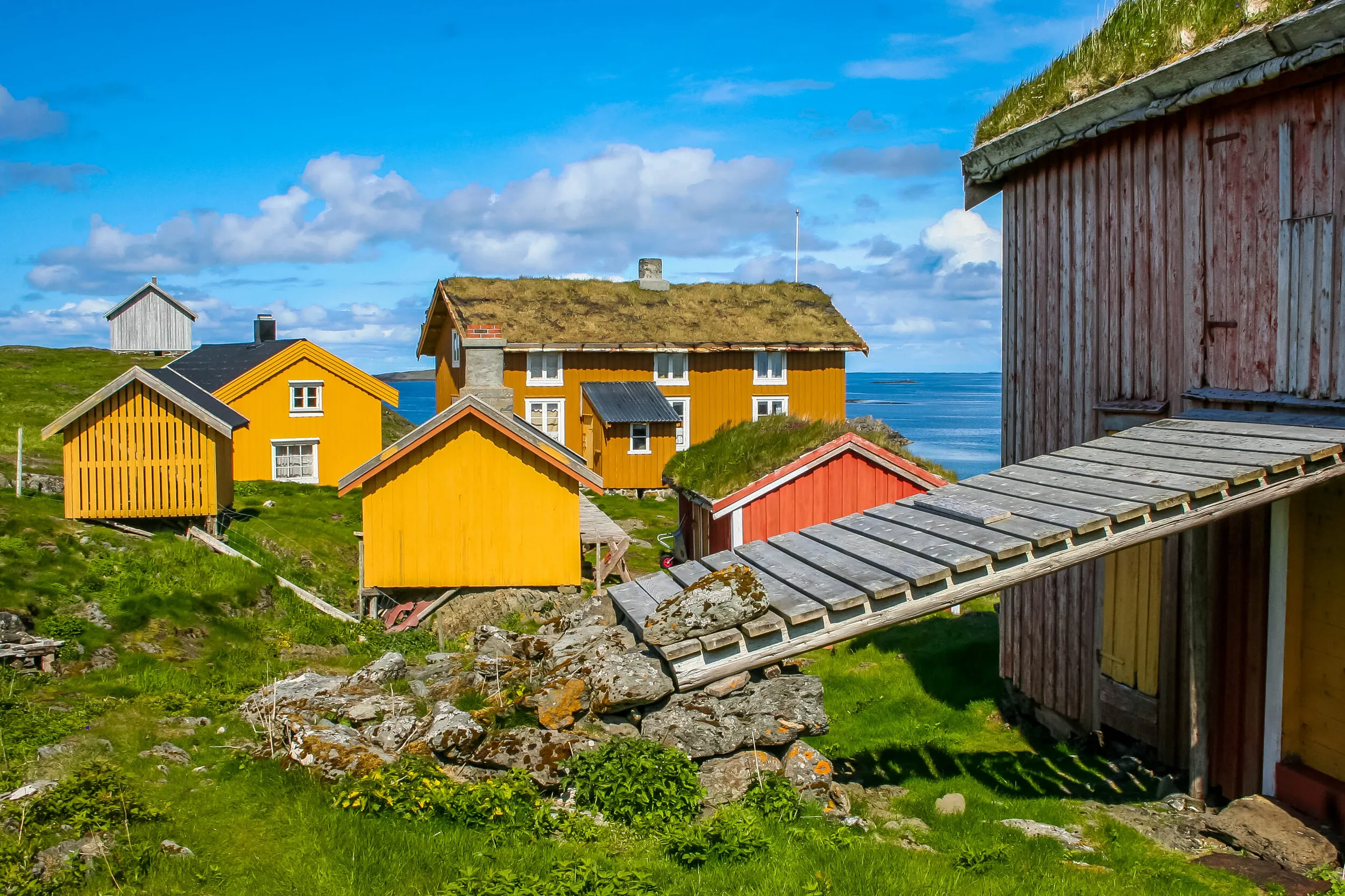 Gulmalte Nordlandshus med torvtak ligger tett sammen ved havet. I forgrunnen ses en låvebro opp til en låve.