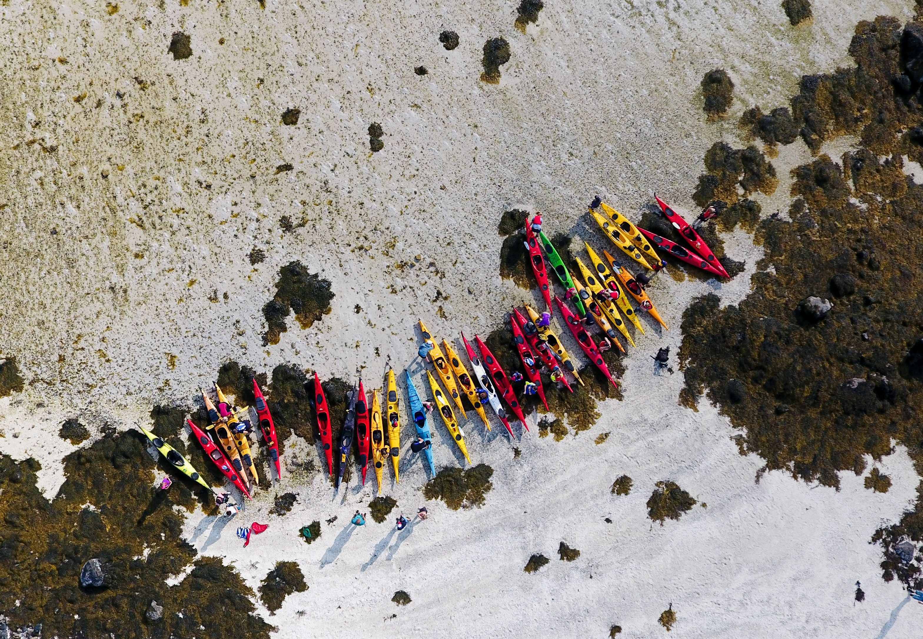 Many kayaks have been pulled up onto a white sandy beach. The beach is surrounded by rocky shores covered with brown seaweed.