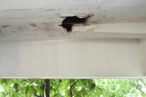 Are Roofers Able to Repair Interior Water Damage?