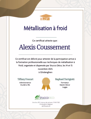 diplome metallisation