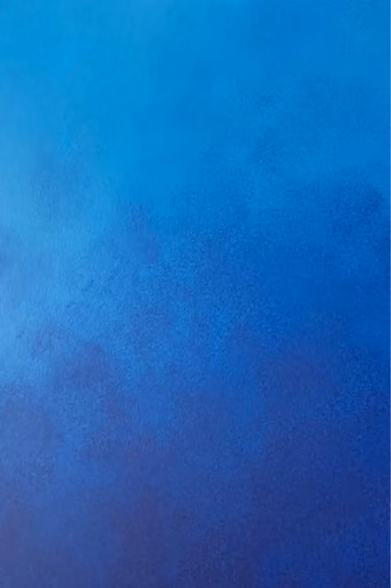 Détail-degrade-decor-peint-sur-mesure 1