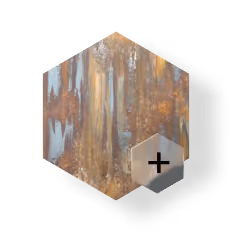 peinture décorative - échantillon