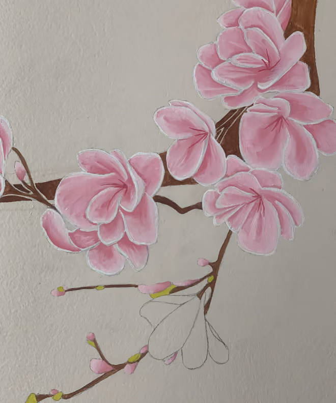 portfolio-cerisier-japonais