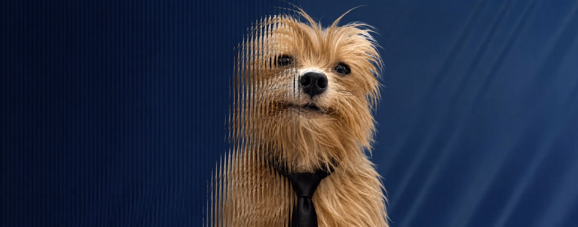 Office dog portrait wearing a black tie with a dark blue tech-inspired background and fluted glass distortion effect.