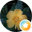 Headshot of Sharon, Google reviewer