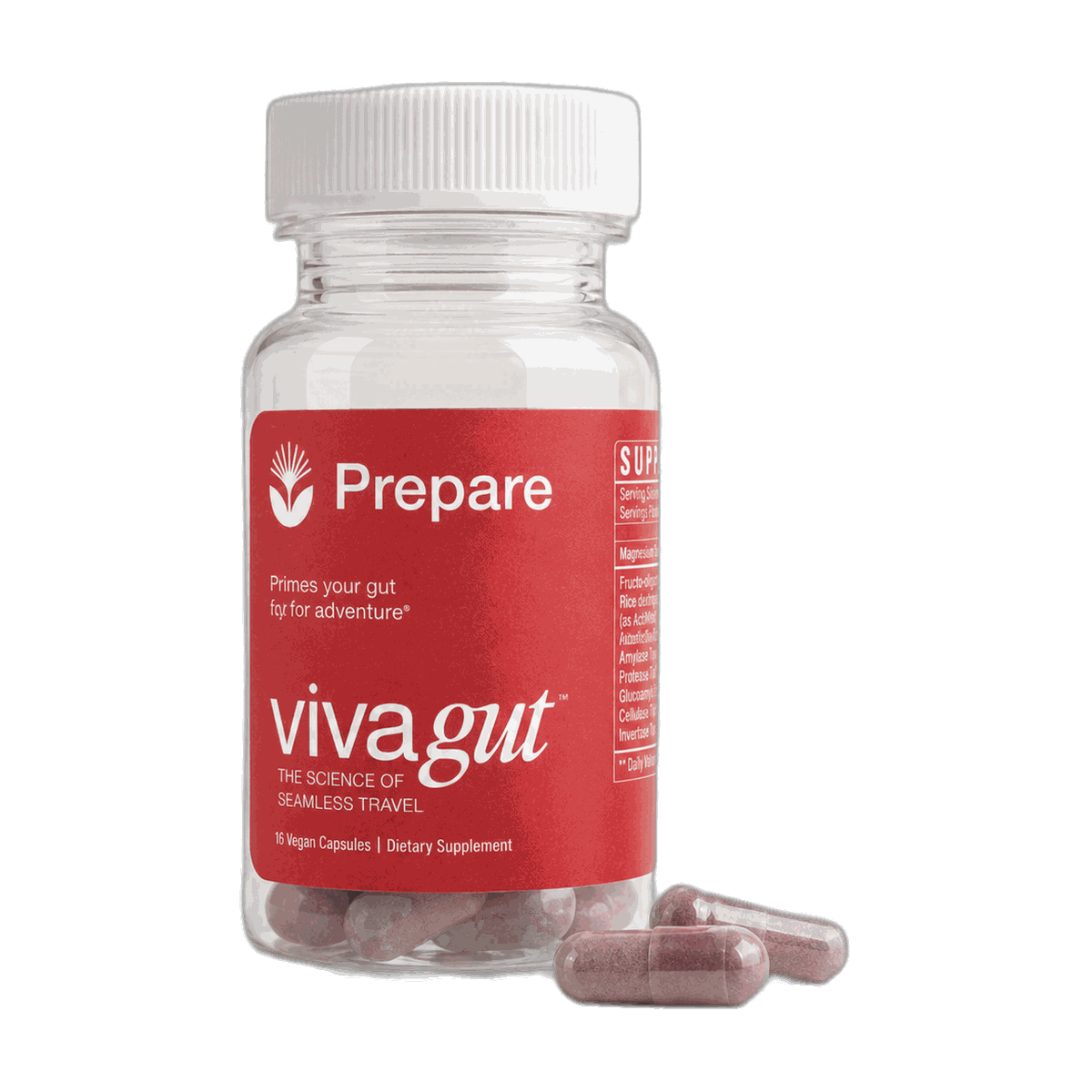 VIVAGUT Prepare bottle