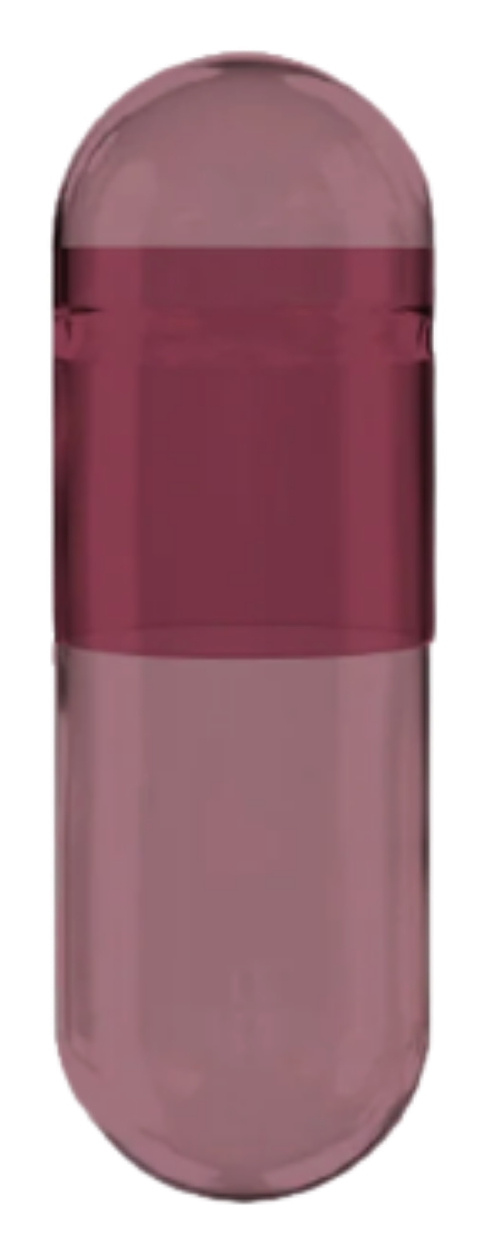 VIVAGUT Prepare capsule