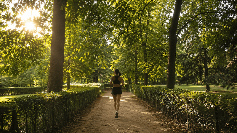 Woman running along a tree-lined path in El Retiro Park, Madrid, during golden hour