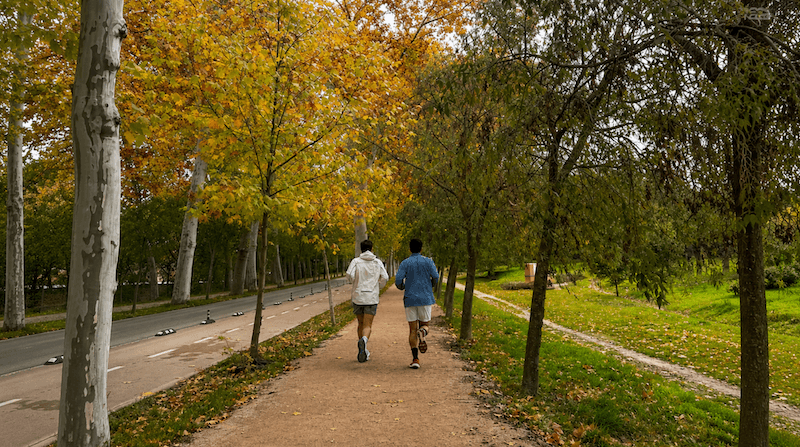 Two people jogging along a tree-lined path in Casa de Campo, Madrid, during autumn