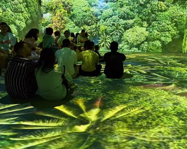 People at the immersive exhibition "Somos Naturaleza"