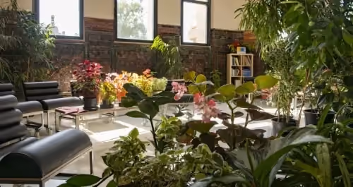 Cosy indoor lounge filled with hanging plants and greenery, with seating for relaxing