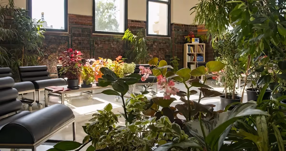 Cosy indoor lounge filled with hanging plants and greenery, with seating for relaxing